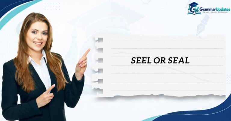 Seel or Seal